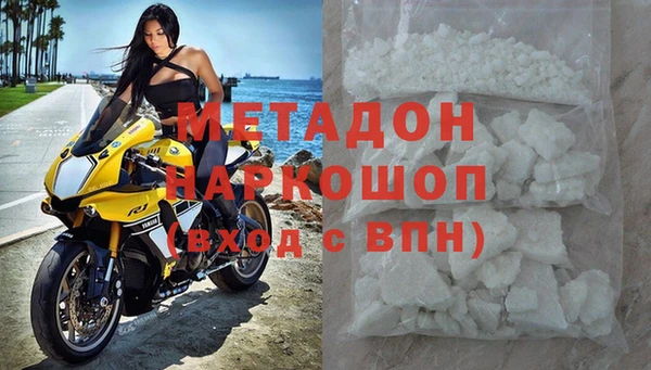 прущие грибы Беломорск