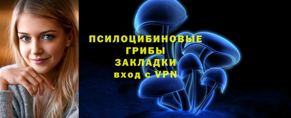 прущие грибы Беломорск