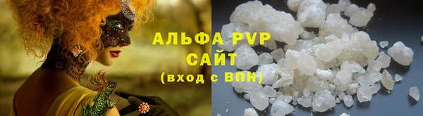 стафф Белокуриха