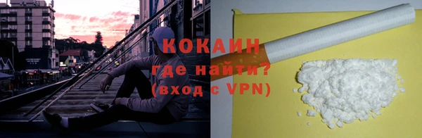 прущие грибы Беломорск