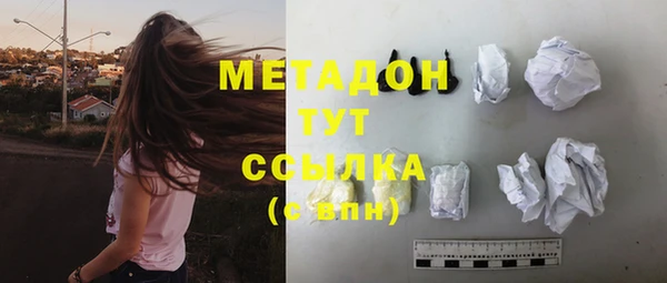 прущие грибы Беломорск