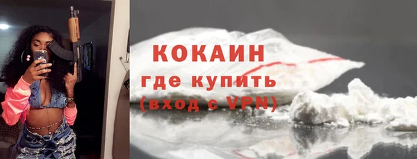 прущие грибы Беломорск