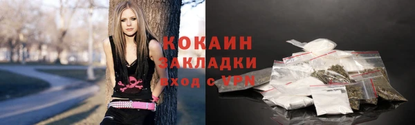 прущие грибы Беломорск