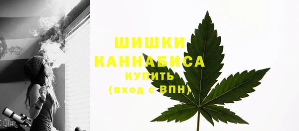 стафф Белокуриха
