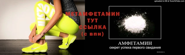 прущие грибы Беломорск